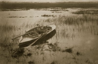 Gunner Waking up the Fowl, Life and Landscape on the Norfolk Broads by Peter Emerson und Thomas Goodall